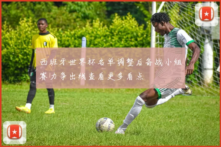西班牙世界杯名单调整后备战小组赛力争出线查看更多看点
