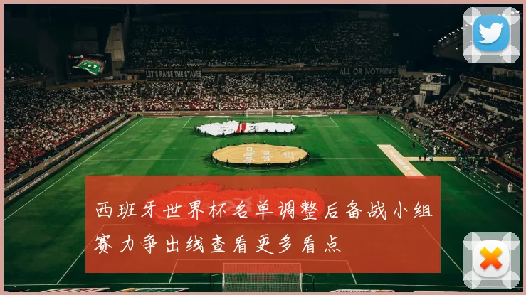 西班牙世界杯名单调整后备战小组赛力争出线查看更多看点