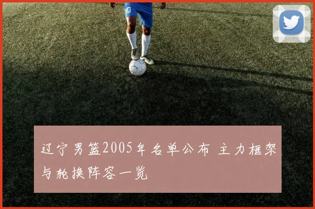 辽宁男篮2005年名单公布 主力框架与轮换阵容一览