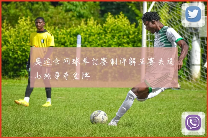 奥运会网球单打赛制详解正赛共设七轮争夺金牌