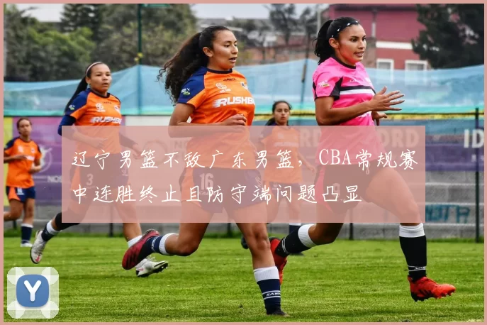 辽宁男篮不敌广东男篮，CBA常规赛中连胜终止且防守端问题凸显